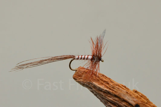  Spent May Fly X 3 (Barbed)