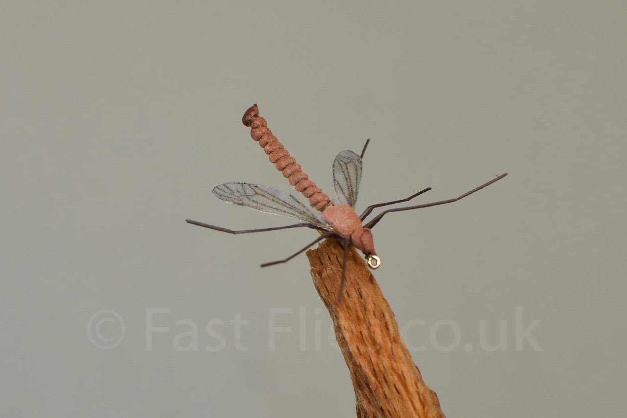  Daddy Longlegs (Barbed)