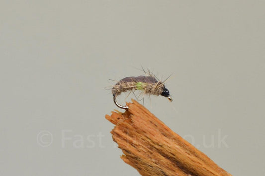  Green Pea Czech X 3 (Barbed)