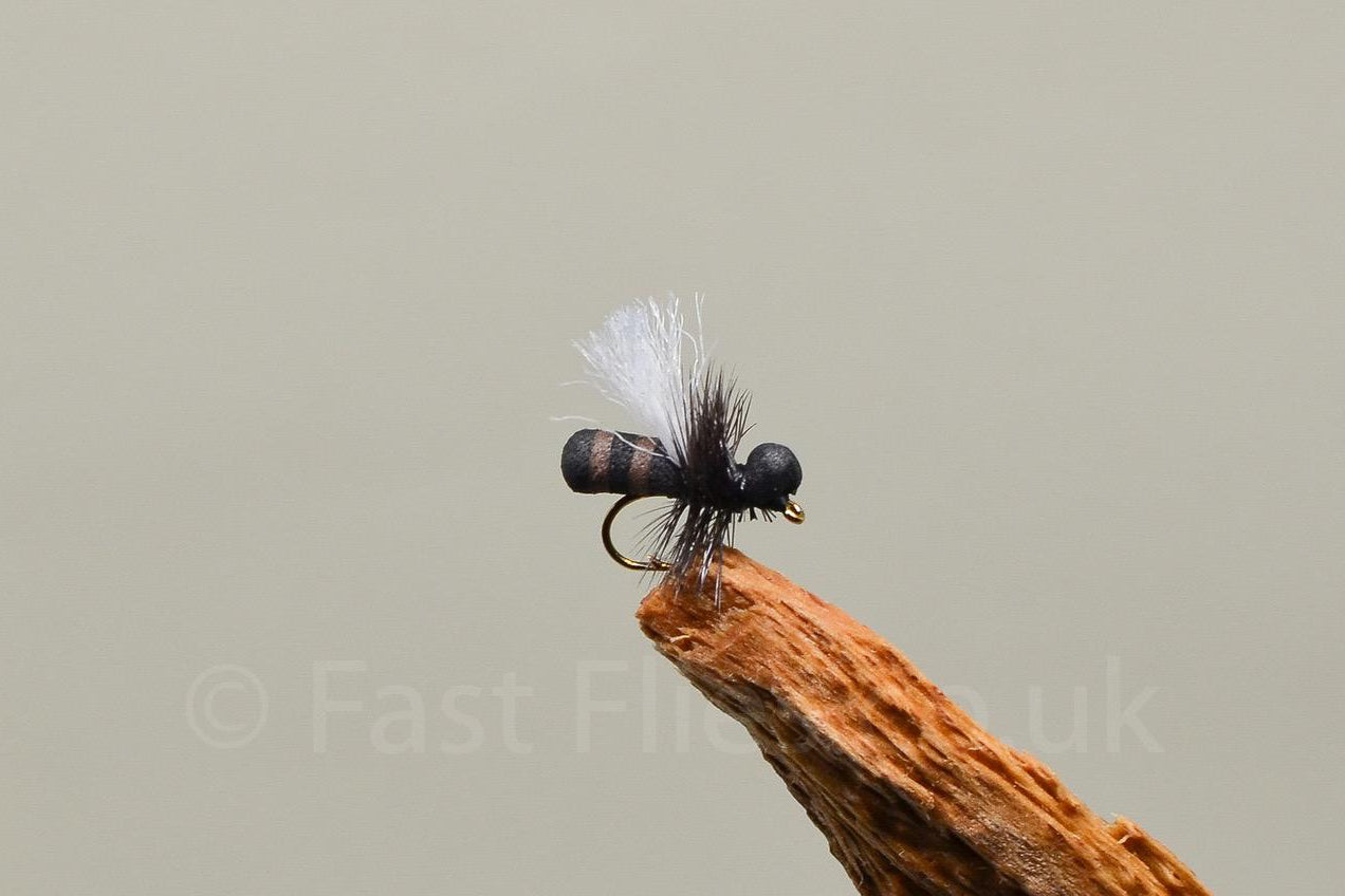  Cinnamon Ant (Barbed)