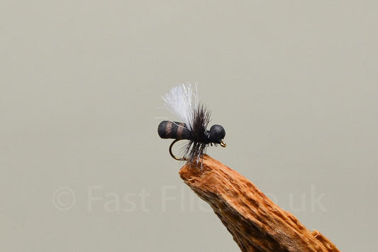 Cinnamon Ant (Barbed)